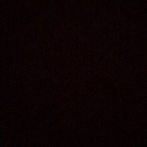 Meet your Posher, Bailey